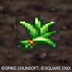 草・種