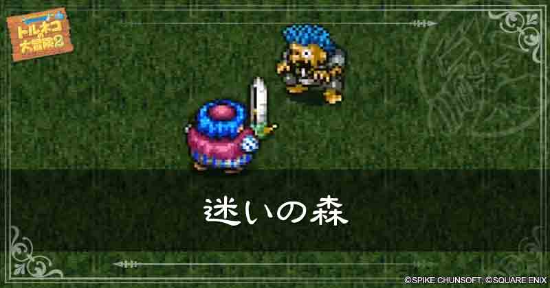迷いの森の見出し画像
